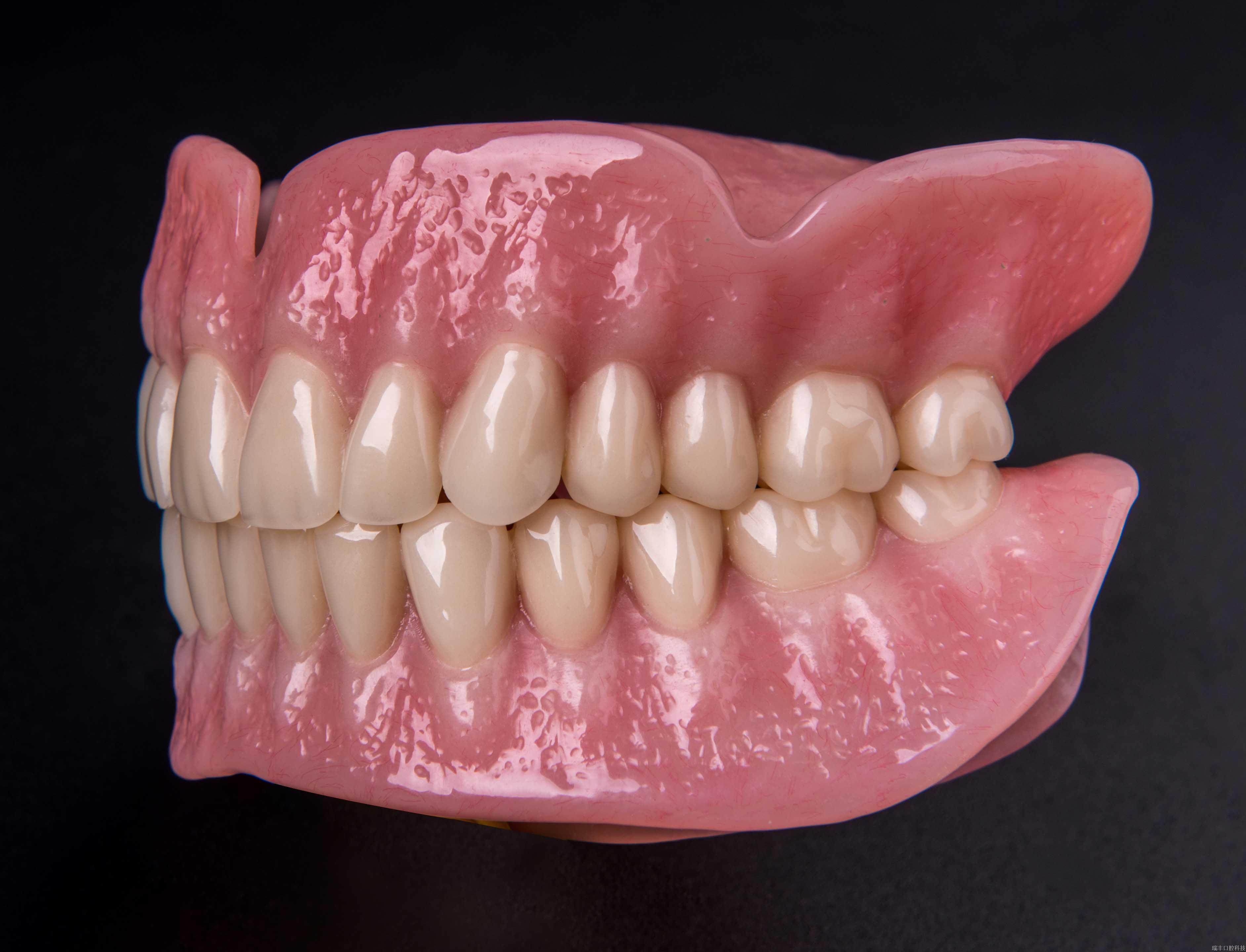 全口义齿